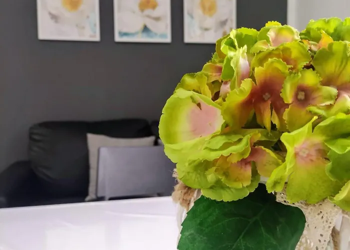 La Dormidera 公寓 阿尔盖罗