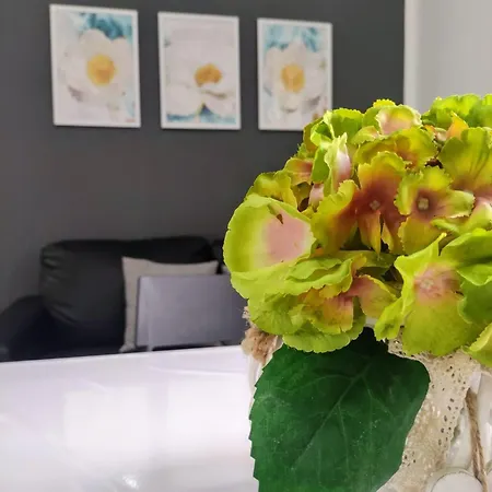 La Dormidera アパート アルゲーロ